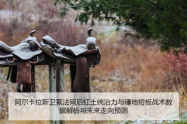 a-er-ka-la-si-wei-mian-fa-wang-hou-hong-tu-tong-zhi-li-yu-ying-di-duan-ban-zhan-shu-shu-ju-jie-xi-yu-wei-lai-zou-xiang-2-775.jpg