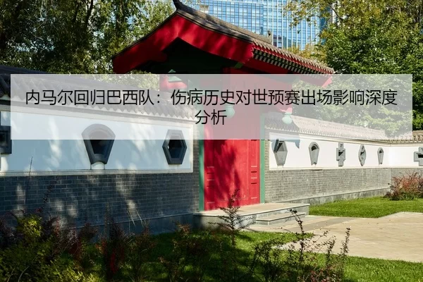 nei-ma-er-hui-gui-ba-xi-dui-shang-bing-li-shi-dui-shi-yu-sai-chu-chang-ying-xiang-shen-du-fen-xi-2-814.jpg