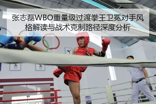张志磊WBO重量级过渡拳王卫冕对手风格解读与战术克制路径深度分析